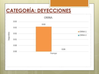 CATEGORÍA: DEYECCIONES

 