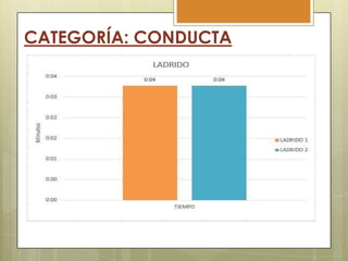 CATEGORÍA: CONDUCTA

 