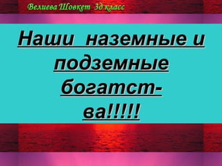 Наши наземные и
подземные
богатства!!!!!