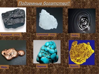 Подземные богатство!!
Каменный уголь.
Каменный соль.
Медь.
Бирюза.
Нефть.
Золото.