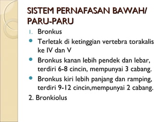 SISTEM PERNAFASAN BAWAH/
PARU-PARU
Bronkus
 Terletak di ketinggian vertebra torakalis
ke IV dan V
 Bronkus kanan lebih pendek dan lebar,
terdiri 6-8 cincin, mempunyai 3 cabang.
 Bronkus kiri lebih panjang dan ramping,
terdiri 9-12 cincin,mempunyai 2 cabang.
2. Bronkiolus
1.

 