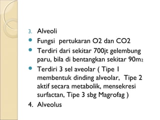 3.




4.

Alveoli
Fungsi pertukaran O2 dan CO2
Terdiri dari sekitar 700jt gelembung
paru, bila di bentangkan sekitar 90m 2
Terdiri 3 sel aveolar ( Tipe 1
membentuk dinding alveolar, Tipe 2
aktif secara metabolik, mensekresi
surfactan, Tipe 3 sbg Magrofag )
Alveolus

 