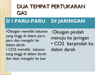 DUA TEMPAT PERTUKARAN
GAS
D I PARU-PARU
•Oksigen memiliki tekanan
yang tinggi di dalam paruparu dan mengalir ke
dalam darah
• CO2 memiliki tekanan
yang tinggi di dalam darah
dan akan mengalir ke luar

DI JARINGAN
Oksigen pindah
menuju ke jaringan
• CO2 berpindah ke
dalam darah
•

 