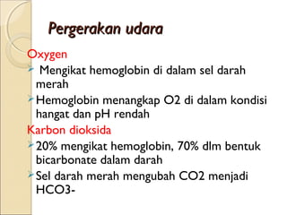 Pergerakan udara
Oxygen
 Mengikat hemoglobin di dalam sel darah
merah
 Hemoglobin menangkap O2 di dalam kondisi
hangat dan pH rendah
Karbon dioksida
 20% mengikat hemoglobin, 70% dlm bentuk
bicarbonate dalam darah
 Sel darah merah mengubah CO2 menjadi
HCO3-

 