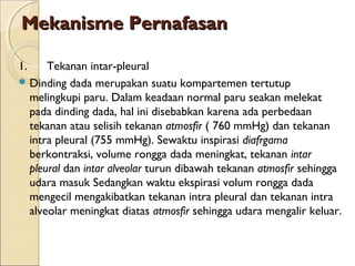 Mekanisme Pernafasan
1.      Tekanan intar-pleural
 Dinding dada merupakan suatu kompartemen tertutup
melingkupi paru. Dalam keadaan normal paru seakan melekat
pada dinding dada, hal ini disebabkan karena ada perbedaan
tekanan atau selisih tekanan atmosfir ( 760 mmHg) dan tekanan
intra pleural (755 mmHg). Sewaktu inspirasi diafrgama
berkontraksi, volume rongga dada meningkat, tekanan intar
pleural dan intar alveolar turun dibawah tekanan atmosfir sehingga
udara masuk Sedangkan waktu ekspirasi volum rongga dada
mengecil mengakibatkan tekanan intra pleural dan tekanan intra
alveolar meningkat diatas atmosfir sehingga udara mengalir keluar.

 