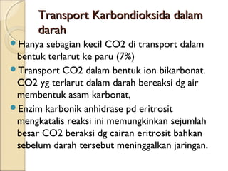 Transport Karbondioksida dalam
darah
Hanya

sebagian kecil CO2 di transport dalam
bentuk terlarut ke paru (7%)
Transport CO2 dalam bentuk ion bikarbonat.
CO2 yg terlarut dalam darah bereaksi dg air
membentuk asam karbonat,
Enzim karbonik anhidrase pd eritrosit
mengkatalis reaksi ini memungkinkan sejumlah
besar CO2 beraksi dg cairan eritrosit bahkan
sebelum darah tersebut meninggalkan jaringan.

 