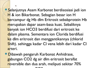 .
Selanjutnya

Asam Karbonat berdisosiasi jadi ion
H & ion Bikarbonat. Sebagian besar ion H
bercampur dg Hb dlm Eritrosit sebabprotein Hb
merupakan dapar asam-basa kuat. Sebaliknya
banyak ion HCO3 berdifusi dari eritrosit ke
dalam plasma. Sementara ion Clorida berdifusi
ke dlm eritrosit dan menggantikannya (chlorid
Shift). sehingga kadar Cl vena lebih dari kadar Cl
arteri.
Dibawah pengaruh Karbonat Anhidrase,
gabungan CO2 dg air dlm eritrosit bersifat
reversible dan dua arah, meliputi sekitar 70%

 
