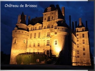 Château de Brissac

 