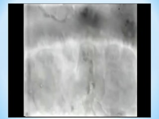 Фільм «норм робота мтс»

 