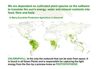 We are dependent on cultivated plant species as the software
to translate the sun’s energy, water and mineral nutrients into
food, fibre and fuels
In Many Countries Productive Agriculture is Seasonal

.

CHLOROPHYLL: Is the only the molecule that can be seen from space. It
is found in all Green Plants and is responsible for capturing the light
energy from the Sun by a process know as PHOTOSYNTHESIS

 