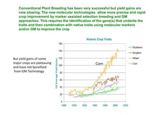 Conventional Plant Breeding has been very successful but yield gains are
now slowing. The new molecular technologies allow more precise and rapid
crop improvement by marker assisted selection breeding and GM
approaches. This requires the identification of the gene(s) that underlie the
traits and then combination with native traits using molecular markers
and/or GM to improve the crop

But yield gains of some
major crops are plateauing
and have not benefited
from GM Technology

Corn

 