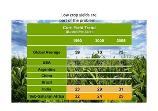 Low crop yields are
part of the problem…

 
