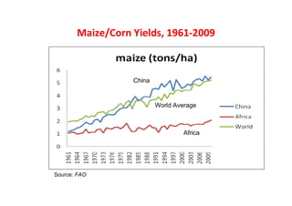 Maize/Corn Yields, 1961-2009

China

World Average

Africa

Source: FAO

 