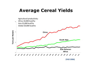 Average Cereal Yields

Tons per Hectare

6

4

Agricultural productivity:
Africa 10,000 kcal/ha
Asia 25,000 kcal/ha
Global 20,000 kcal/ha

China

South Asia
2

0

Sub Saharan
Africa

(FAO 2006)

 