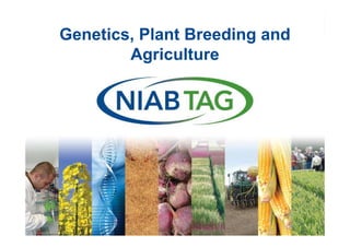 Dr Tina Barsby

Plant Science into Practice

Genetics, Plant Breeding and
Agriculture

 