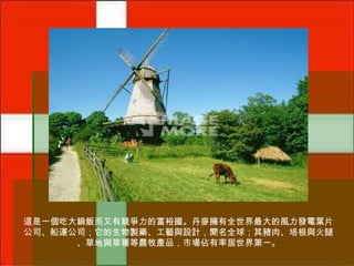 這是一個吃大鍋飯而又有競爭力的富裕國。丹麥擁有全世界最大的風力發電葉片
公司、船運公司；它的生物製藥、工藝與設計，聞名全球；其豬肉、培根與火腿
、草地與草種等農牧產品，市場佔有率居世界第一。

 