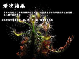 愛吃蘋果
常常吃肉的人，會覺得蘋果特別美味，此因蘋果所含的果膠能降低膽固醇，
是人體本能的需求
蘋果含有多種礦物質，鈣、磷、鉀、鎂，營養價值很高

 