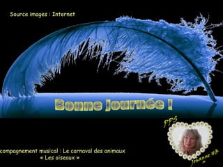 Source images : Internet
compagnement musical : Le carnaval des animaux
« Les oiseaux »