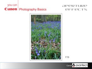 Photography Basics

Aperture
effects

f/16
f/11
f/8
f/5.6
f/4
f/2.8
f/2
f/1.2
27

Canon Training Network.

 