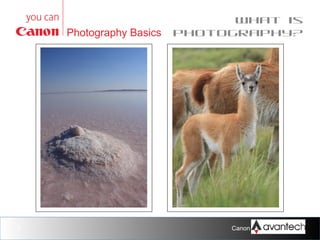 Photography Basics

5

What is
photography?

Canon Training Network.

 