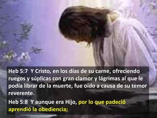 Heb 5:7 Y Cristo, en los días de su carne, ofreciendo
ruegos y súplicas con gran clamor y lágrimas al que le
podía librar de la muerte, fue oído a causa de su temor
reverente.
Heb 5:8 Y aunque era Hijo, por lo que padeció
aprendió la obediencia;

 