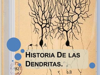 HISTORIA DE LAS
DENDRITAS.

 
