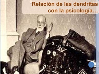 Relación de las dendritas
con la psicología…

 