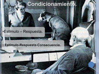 Condicionamiento.

•Estímulo – Respuesta.
• Estímulo-Respuesta-Consecuencia.

 