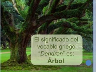 El significado del
vocablo griego
“Dendron” es:

Árbol.

 