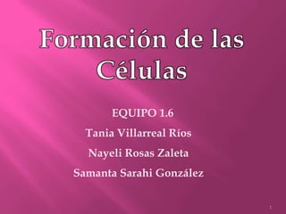 EQUIPO 1.6
Tania Villarreal Ríos
Nayeli Rosas Zaleta
Samanta Sarahi González
1

 