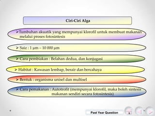 Ciri-Ciri Alga
Tumbuhan akuatik yang mempunyai klorofil untuk membuat makanan
melalui proses fotosintesis
 Saiz : 1 m – 10 000 m

 Cara pembiakan : Belahan dedua, dan konjugasi
 Habitat : Kawasan lembap, berair dan bercahaya
 Bentuk : organisma unisel dan multisel
 Cara pemakanan : Autotrofit (mempunyai klorofil, maka boleh sintesis
makanan sendiri secara fotosintesis)

Past Year Question

 