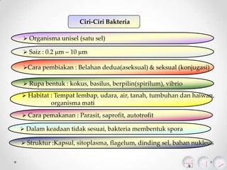 Ciri-Ciri Bakteria
 Organisma unisel (satu sel)
 Saiz : 0.2 m – 10 m
Cara pembiakan : Belahan dedua(aseksual) & seksual (konjugasi)
 Rupa bentuk : kokus, basilus, berpilin(spirilum), vibrio
 Habitat : Tempat lembap, udara, air, tanah, tumbuhan dan haiwan,

organisma mati
 Cara pemakanan : Parasit, saprofit, autotrofit
 Dalam keadaan tidak sesuai, bakteria membentuk spora
 Struktur :Kapsul, sitoplasma, flagelum, dinding sel, bahan nukleus

 