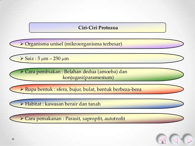 Mikroorganisma Yang Tidak Mempunyai Ciri Sel