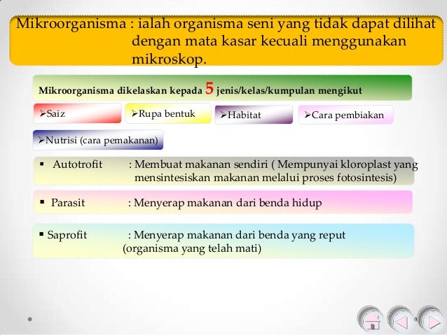 1 1 Jenis Mikroorganisma