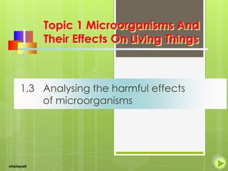 Topic 1 Microorganisms And
Their Effects On Living Things

1.3 Analysing the harmful effects
of microorganisms

nhshayati

 