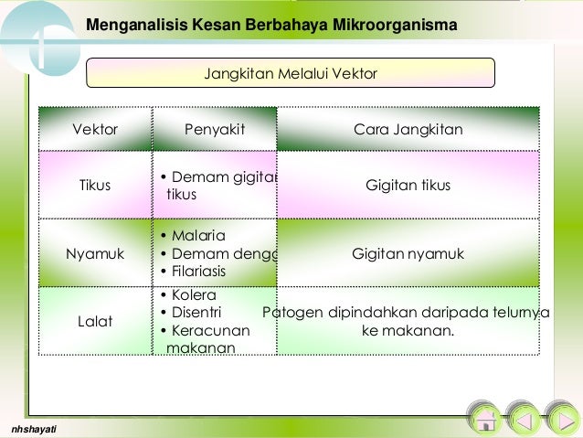 1 3 Kesan Mikroorganisma Merbahaya