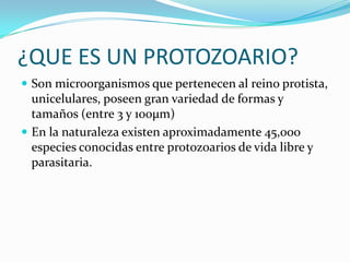 ¿QUE ES UN PROTOZOARIO?
 Son microorganismos que pertenecen al reino protista,

unicelulares, poseen gran variedad de formas y
tamaños (entre 3 y 100µm)
 En la naturaleza existen aproximadamente 45,000
especies conocidas entre protozoarios de vida libre y
parasitaria.

 