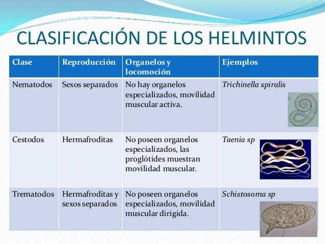 Pican los ojos y el dolor en lo bajo del vientre los parásitos