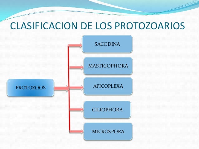 Si puede ser la demora mensual por las lombrices