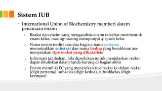 Sistem IUB
• International Union of Biochemistry memberi sistem
penamaan enzim
1. Reaksi dan enzim yang mengatalisis enzim tersebut membentuk
enam kelas, masing-masing mempunyai 4-13 sub kelas
2. Nama enzim terdiri atas dua bagian, nama pertama
menunjukkan substrat dan nama kedua yang berakhiran ase
menyatakan tipe reaksi yang dikatalisis
3. Informasi tambahan, bila diperlukan untuk menjelaskan reaksi
dapat dituliskan dalam tanda kurung di bagian akhir
4. Enzim memiliki EC yang mencirikan tipe reaksi ke dalam reaksi
(digit pertama), subkelas (digit kedua), subsubkelas (digit
keempat)

 