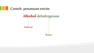 Contoh penamaan enzim
Alkohol dehidrogenase
Substrat
Reaksi

 