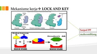 Mekanisme kerja LOCK AND KEY

Satpol PP
makcomblang

 