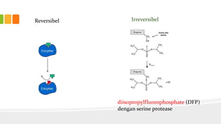 Reversibel

Irreversibel

diisopropylfluorophosphate (DFP)
dengan serine protease

 