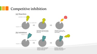 Competitive inhibition

 