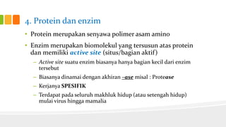 4. Protein dan enzim
• Protein merupakan senyawa polimer asam amino
• Enzim merupakan biomolekul yang tersusun atas protein
dan memiliki active site (situs/bagian aktif)
– Active site suatu enzim biasanya hanya bagian kecil dari enzim
tersebut

– Biasanya dinamai dengan akhiran –ase misal : Protease
– Kerjanya SPESIFIK
– Terdapat pada seluruh makhluk hidup (atau setengah hidup)
mulai virus hingga mamalia

 