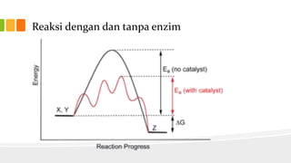 Reaksi dengan dan tanpa enzim

 