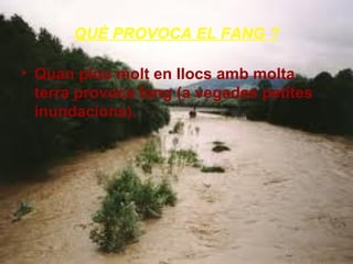 QUÈ PROVOCA EL FANG ?
• Quan plou molt en llocs amb molta
terra provoca fang (a vegades petites
inundacions).

 