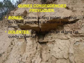 QUINES CONSEQÜÈNCIES
PROVOQUEN.
• BONES: Gràcies al fang podem construir
les cases perquè és el material bàsic del
ciment.
• DOLENTES: Que t’enfonsis en el fang i et
quedis enganxat.

 