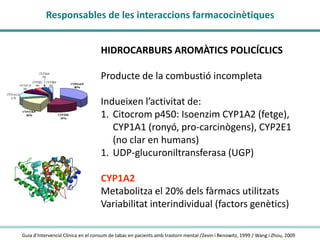 Responsables de les interaccions farmacocinètiques
HIDROCARBURS AROMÀTICS POLICÍCLICS
Producte de la combustió incompleta
Indueixen l’activitat de:
1. Citocrom p450: Isoenzim CYP1A2 (fetge),
CYP1A1 (ronyó, pro-carcinògens), CYP2E1
(no clar en humans)
1. UDP-glucuroniltransferasa (UGP)
CYP1A2
Metabolitza el 20% dels fàrmacs utilitzats
Variabilitat interindividual (factors genètics)
Guia d’Intervenció Clínica en el consum de tabac en pacients amb trastorn mental /Zevin i Benowitz, 1999 / Wang i Zhou, 2009

 
