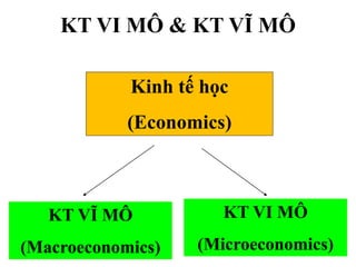 KT VI MÔ & KT VĨ MÔ
Kinh tế học
(Economics)

KT VĨ MÔ

KT VI MÔ

(Macroeconomics)

(Microeconomics)

 